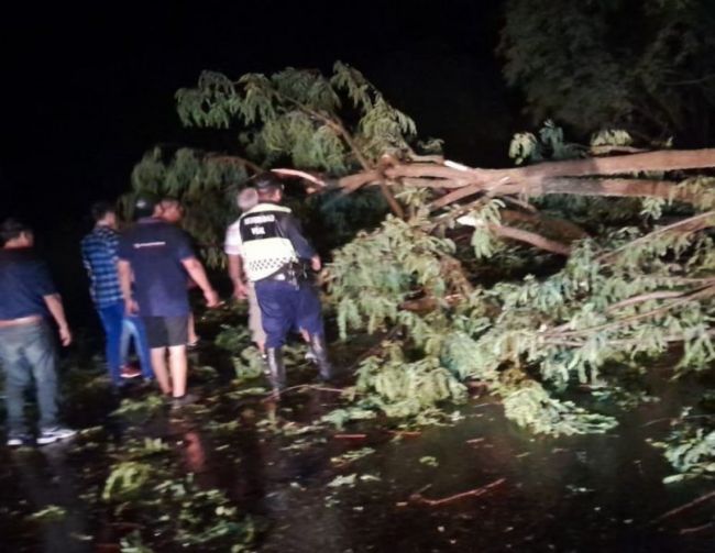 Consecuencias del temporal