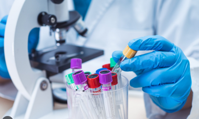 Informe epidemiológico