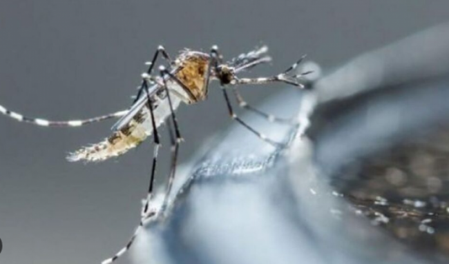 Alerta en el norte de la provincia