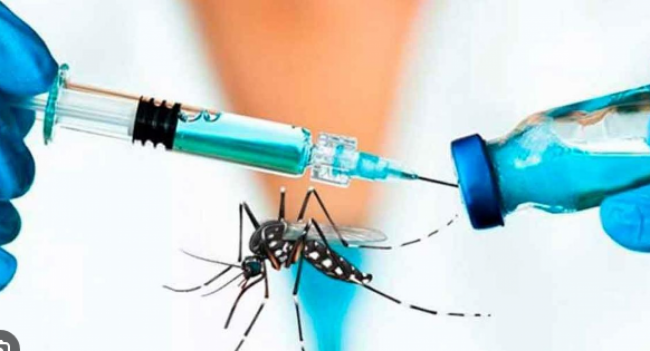 Fuerte aumento de casos de dengue