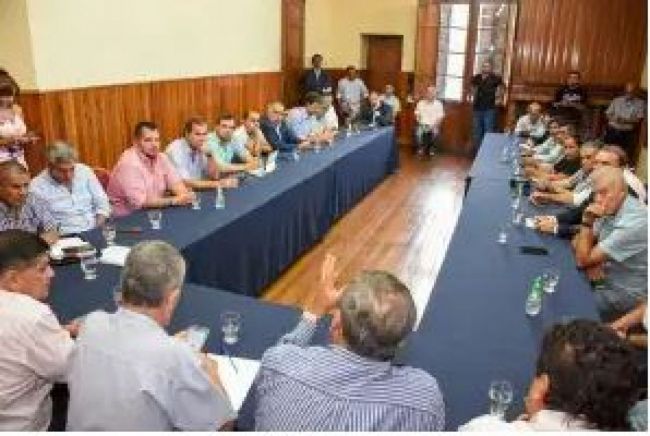 Mangione en el Senado