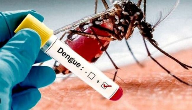 Aumentan los casos de dengue