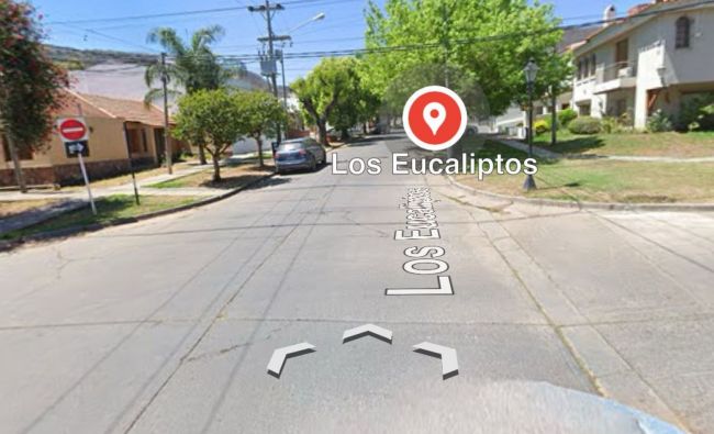 Eucaliptus y paraísos dejarán de ser doble mano