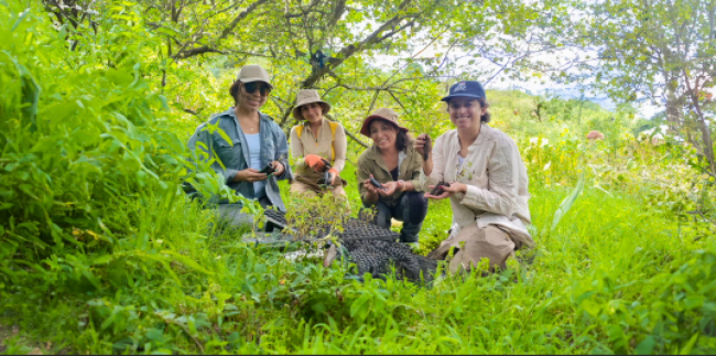 Protección de boxxques