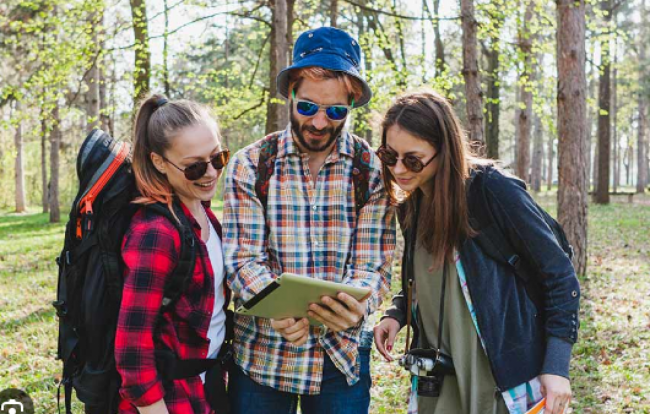 Movimiento turístico