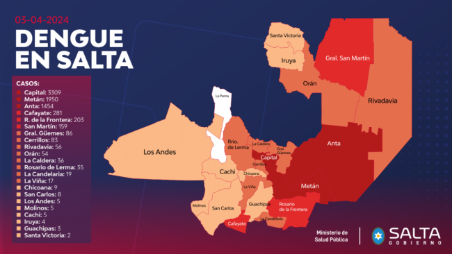 Panorama provincial en materia de dengue