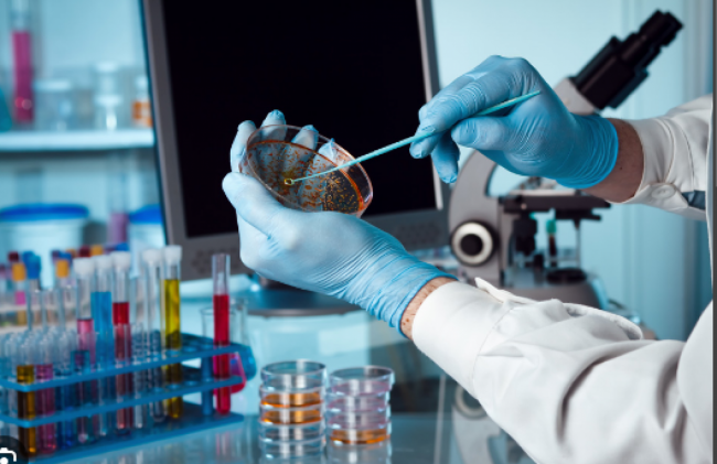 Ya son 14 los muertos por dengue