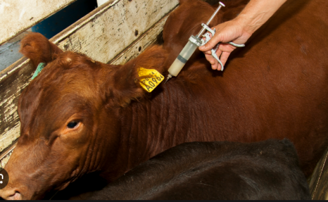 Reclamo de pequeños productores