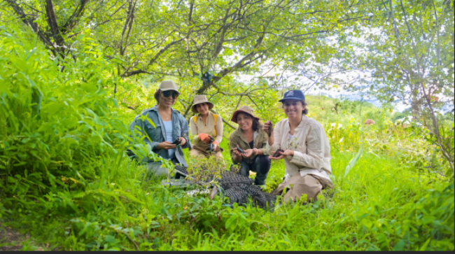 Misión rescate de bosques