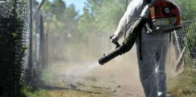 Lucha contra el dengue