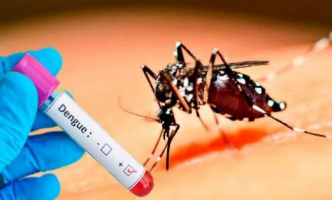 Informe epidemiológico