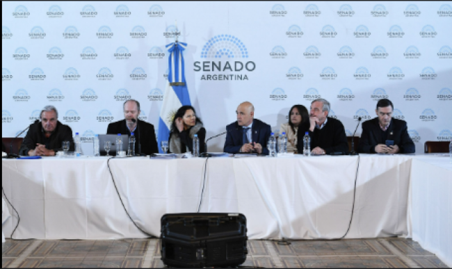 Ley Bases en el Senado