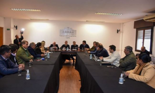 Mangione en el Senado