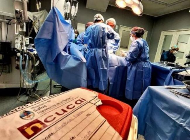 Donación de órganos