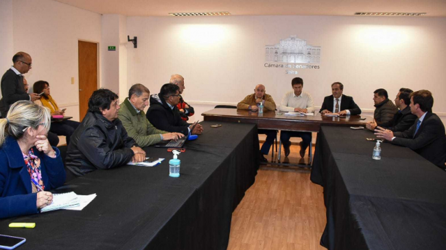 Ficha limpia en análisis