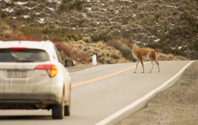 Menor movimiento turístico