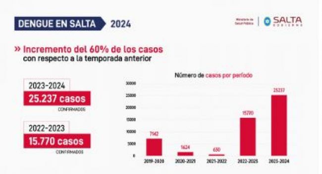 Estadísticas de dengue