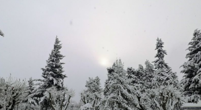 Nieve en la Patagonia y frío en el resto del país