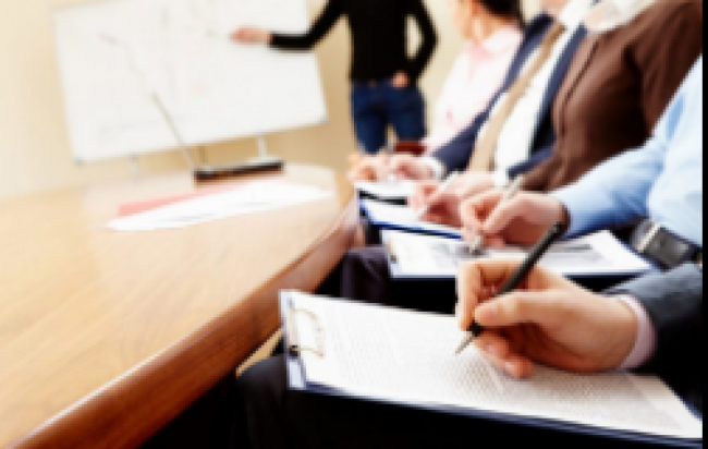 Fomento a la profesionalización