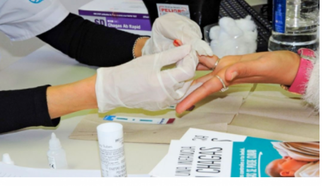 Los testeos comenzarán en agosto