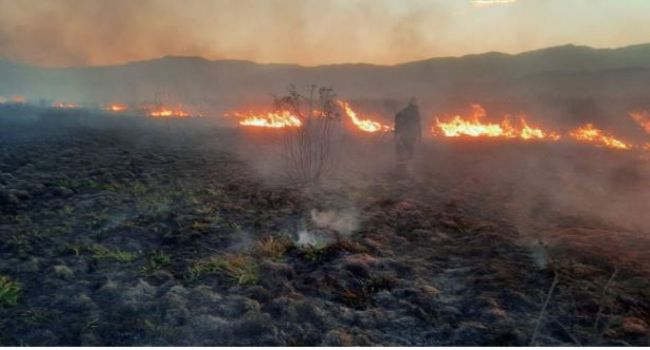 Incendio de pastizales