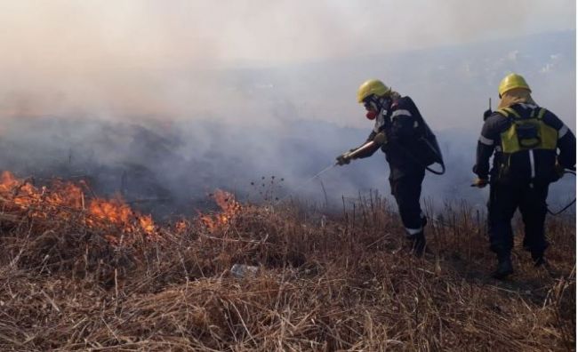 Incendio de pastizales