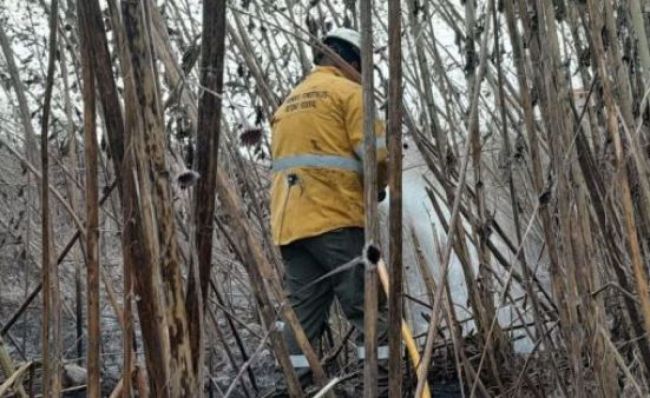 Incendios de pastizales