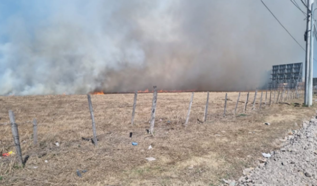 Alerta por posibles incendios de pastizales