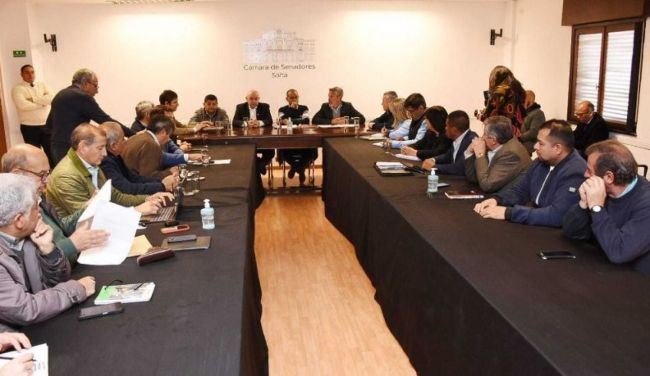 Plenario de senadores