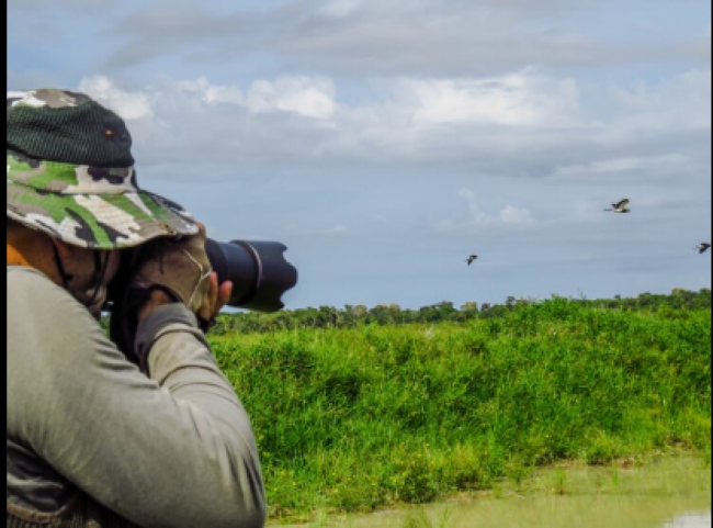 Observación de aves