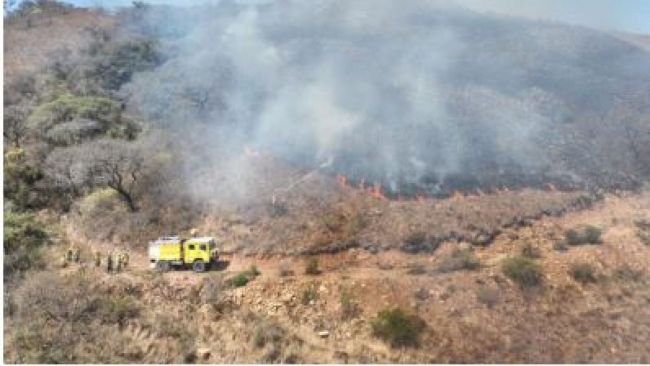 Incendio forestal