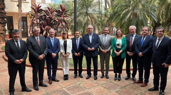 Vicegobernadores del Norte Argentino