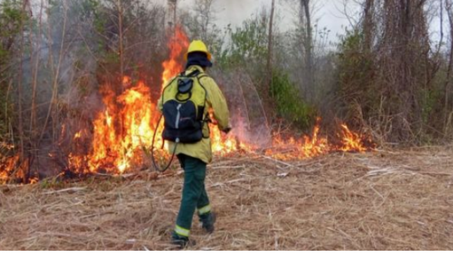 Incendios Forestales