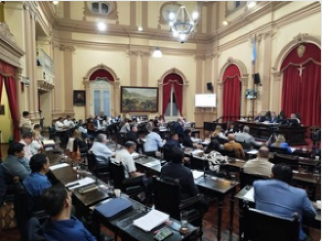 El proyecto pasó al Senado en revisión