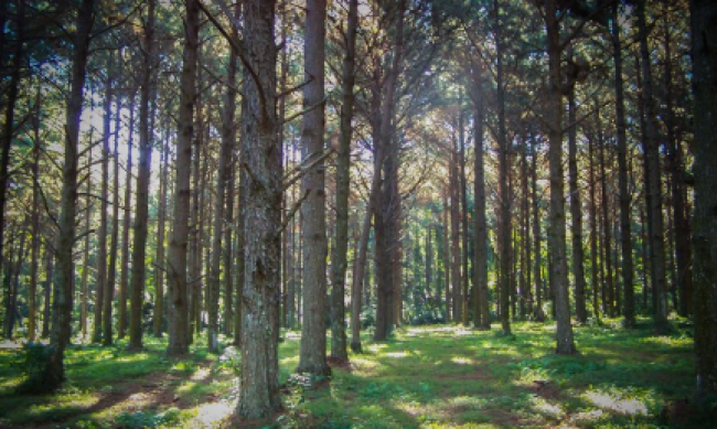 Avances en el ordenamiento territorial