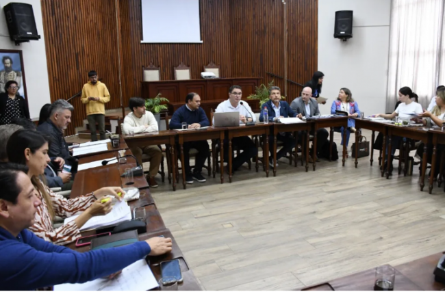 Plenario en el Concejo