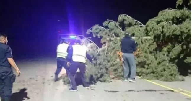 Consecuencias del temporal