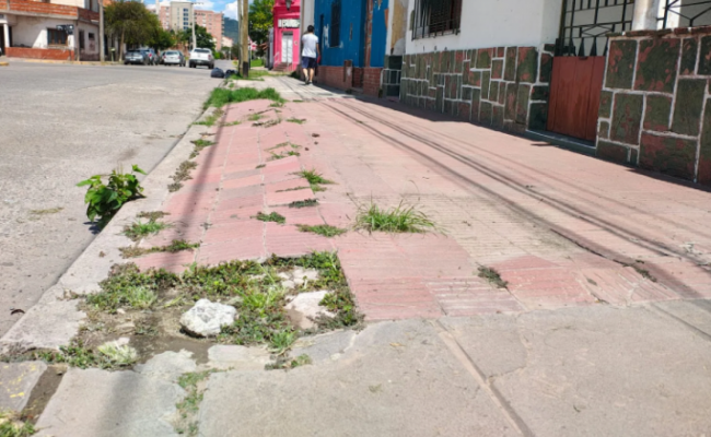 Reparación de veredas