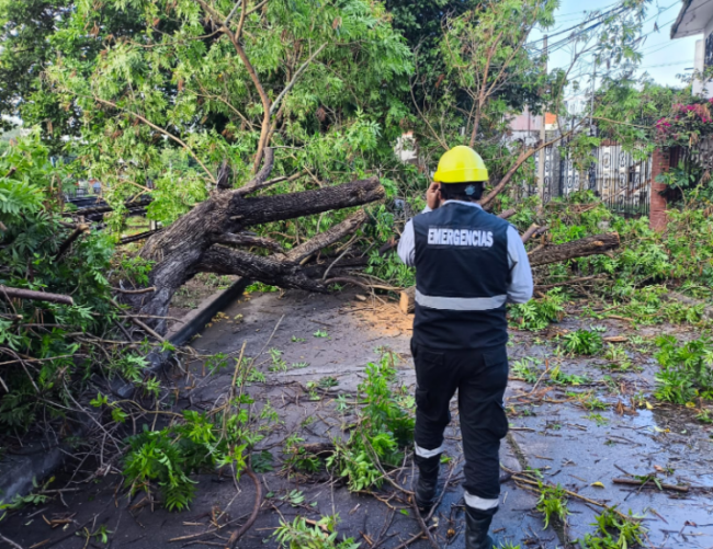 Efectos de las últimas lluvias