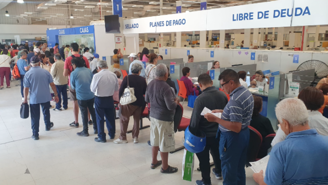 Pago anual del tributos