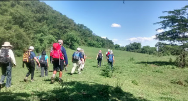 Créditos a micro emprendedores