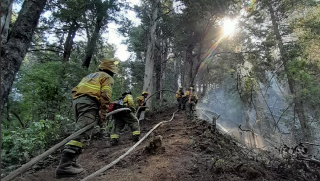 Incendios forestales en el sur