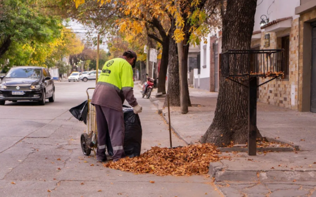 Servicios municipales