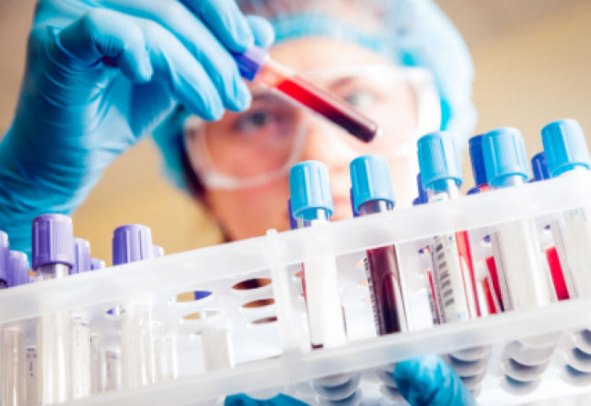 Estadísticas de dengue