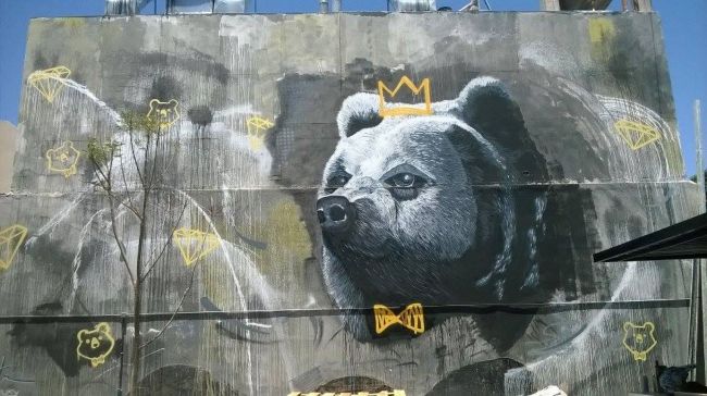 Oso rey de Martín Córdoba