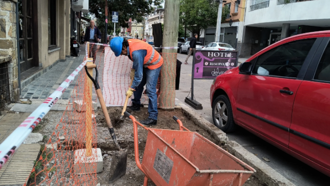 Reparación de veredas