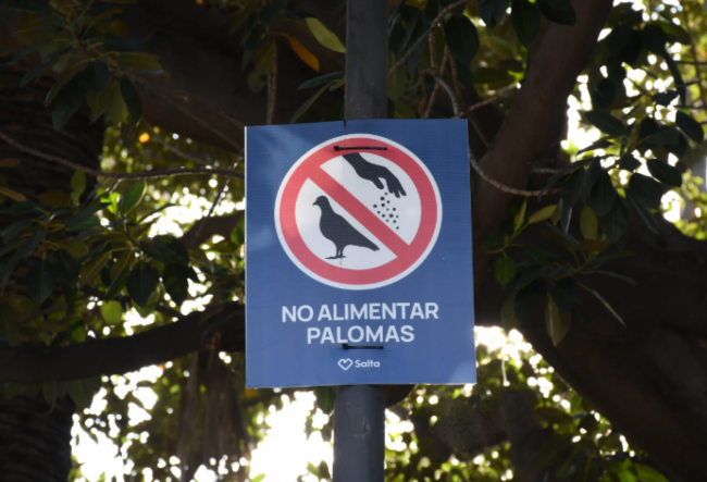 No alimentar a las palomas