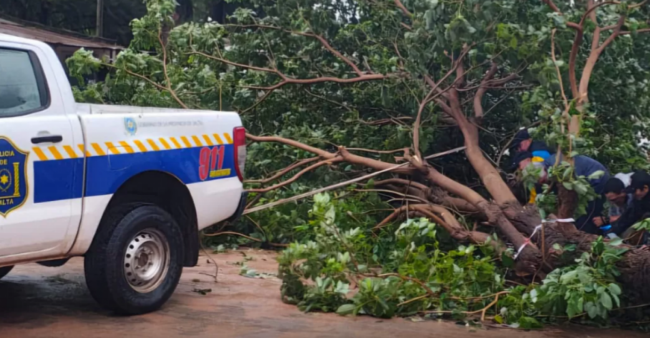 Temporal en el Norte