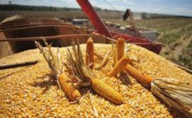 Inversión internacional