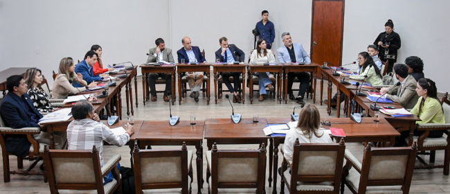 Candidatos a convencionales en el Concejo